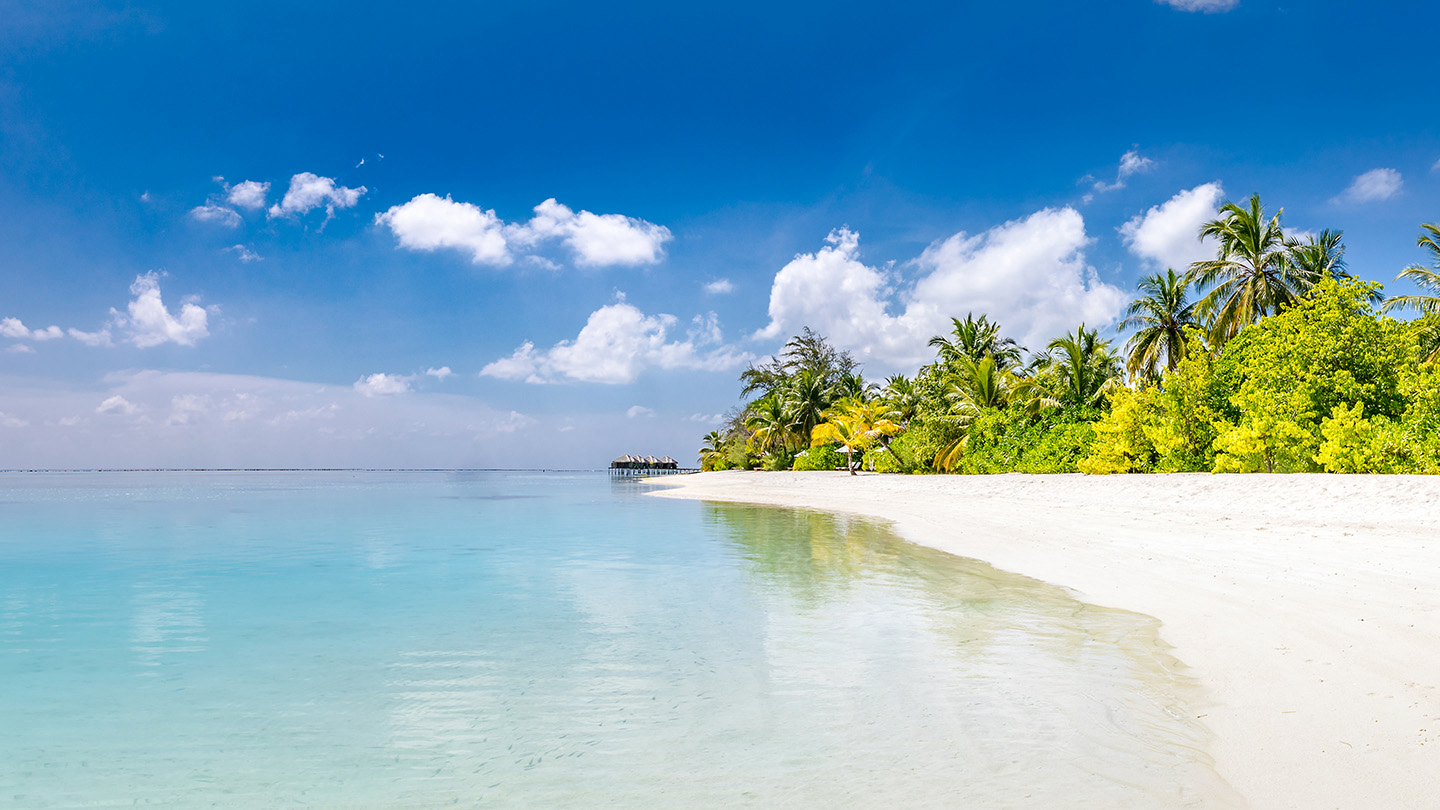 Copy of Tropical Beach Collection 2