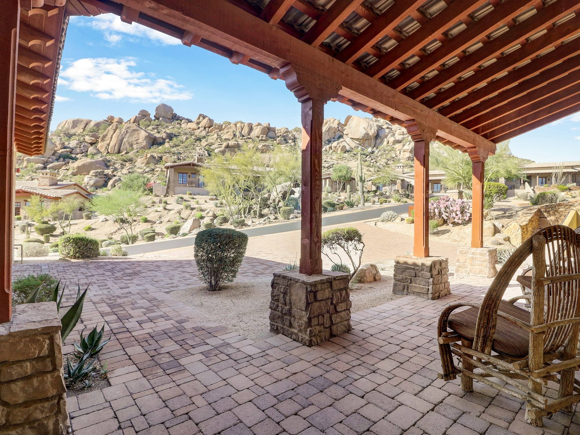 Saguaro 12